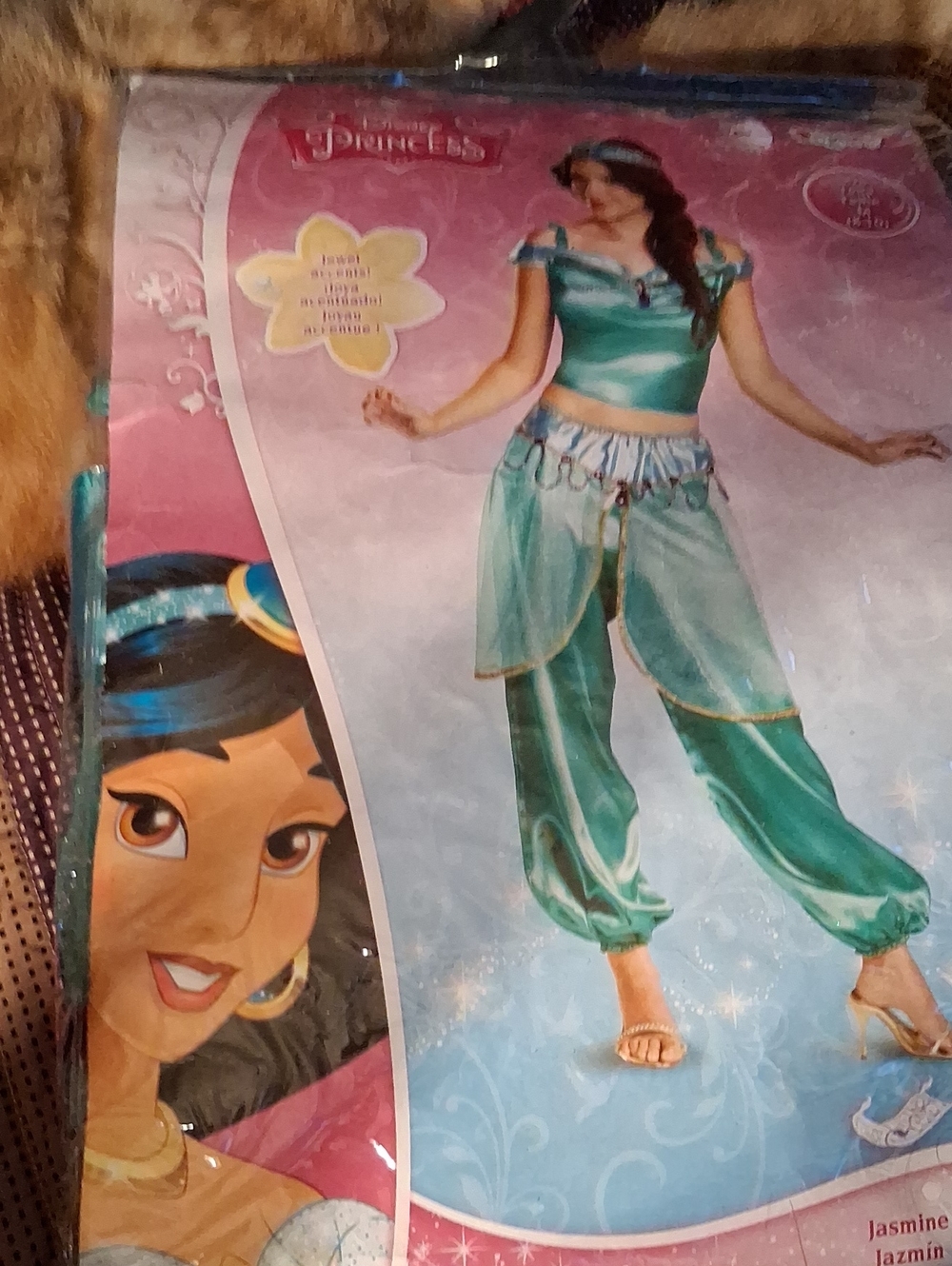 Disney Jasmine Teal and Gold Womens Costume Set For Halloween